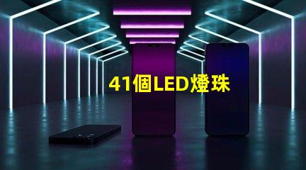 41個LED燈珠