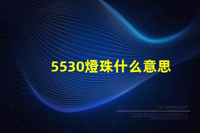 5530燈珠什么意思