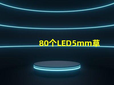 80個(gè)LED5mm草帽燈珠配多大驅(qū)動(dòng)器？