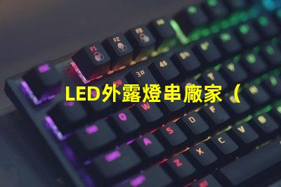 LED外露燈串廠家（高品質(zhì)LED外露燈串供應(yīng)商）