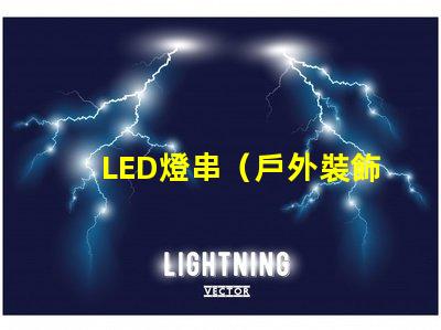 LED燈串（戶外裝飾照明）