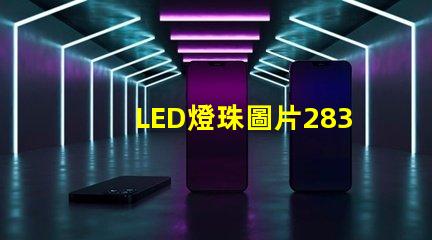 LED燈珠圖片2835