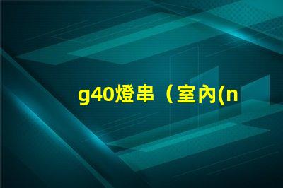 g40燈串（室內(nèi)外裝飾必備）