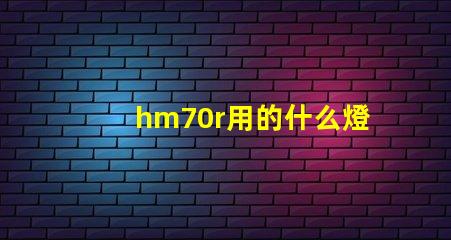 hm70r用的什么燈珠