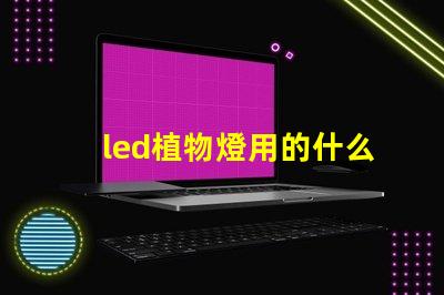led植物燈用的什么燈珠