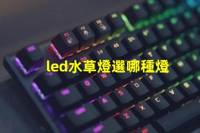 led水草燈選哪種燈珠