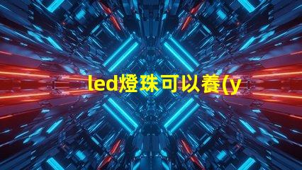 led燈珠可以養(yǎng)花