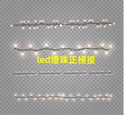 led燈珠正極接