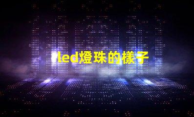 led燈珠的樣子