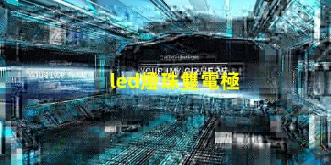 led燈珠雙電極