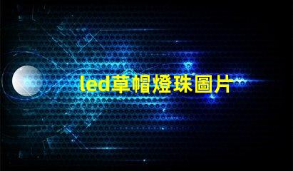 led草帽燈珠圖片