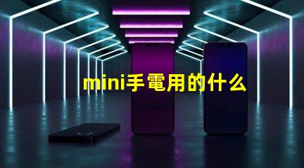 mini手電用的什么燈珠