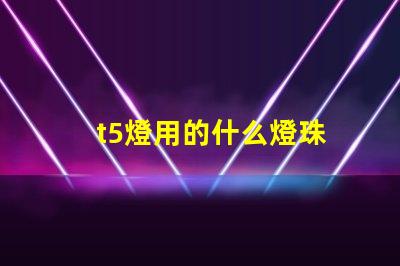 t5燈用的什么燈珠