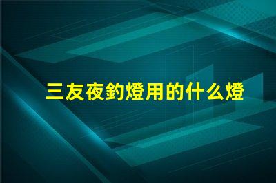 三友夜釣燈用的什么燈珠