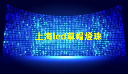 上海led草帽燈珠