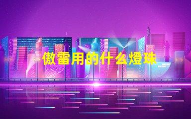 傲雷用的什么燈珠