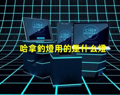 哈拿釣燈用的是什么燈珠