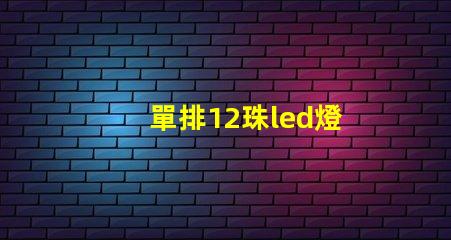 單排12珠led燈