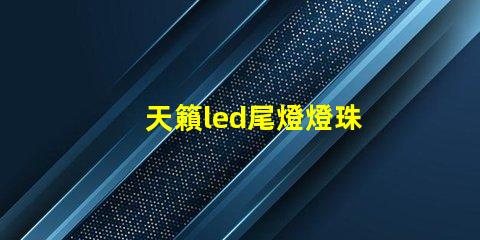天籟led尾燈燈珠
