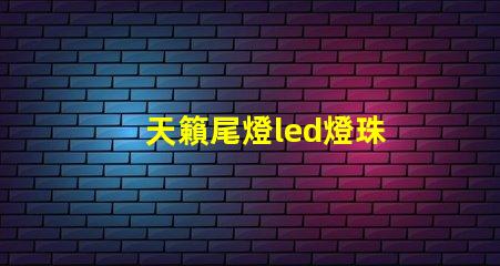 天籟尾燈led燈珠