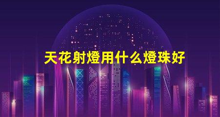 天花射燈用什么燈珠好