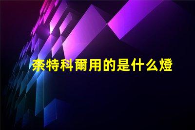 奈特科爾用的是什么燈珠