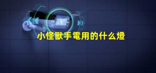 小怪獸手電用的什么燈珠