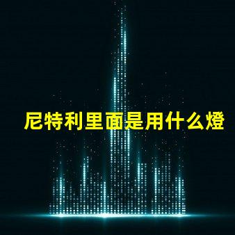 尼特利里面是用什么燈珠