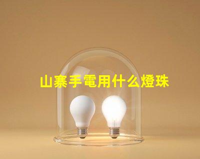 山寨手電用什么燈珠