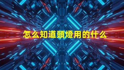怎么知道頭燈用的什么燈珠