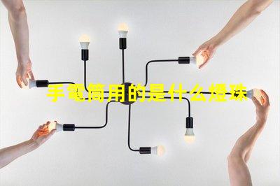 手電筒用的是什么燈珠