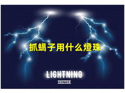抓蝎子用什么燈珠
