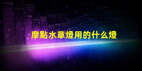 摩點水草燈用的什么燈珠