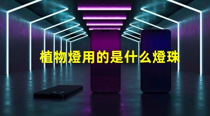 植物燈用的是什么燈珠