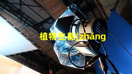 植物生長(zhǎng)燈led燈珠售后