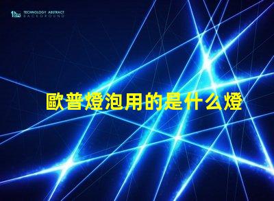 歐普燈泡用的是什么燈珠