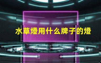 水草燈用什么牌子的燈珠好