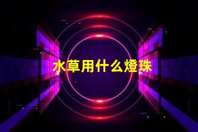 水草用什么燈珠