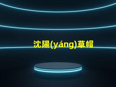 沈陽(yáng)草帽led燈珠