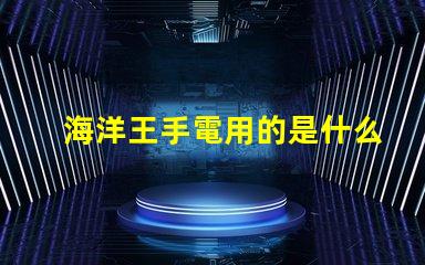 海洋王手電用的是什么燈珠
