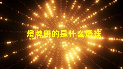 燈牌用的是什么燈珠