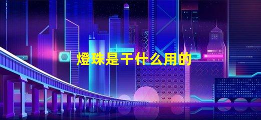 燈珠是干什么用的