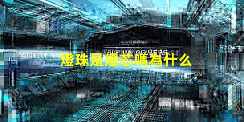 燈珠是燈芯嗎為什么