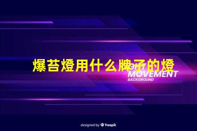 爆苔燈用什么牌子的燈珠好