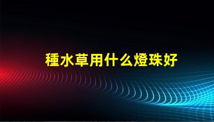 種水草用什么燈珠好
