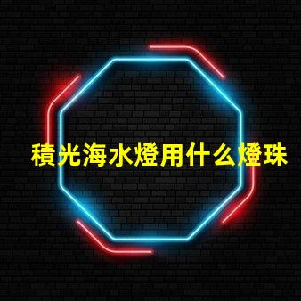 積光海水燈用什么燈珠