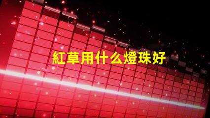 紅草用什么燈珠好