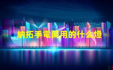 納拓手電筒用的什么燈珠