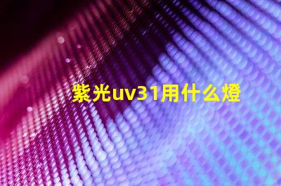 紫光uv31用什么燈珠