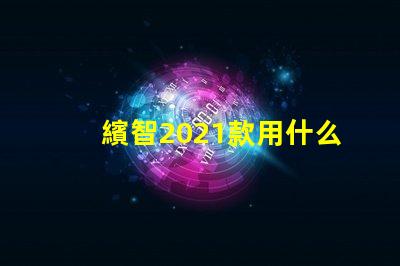 繽智2021款用什么燈珠